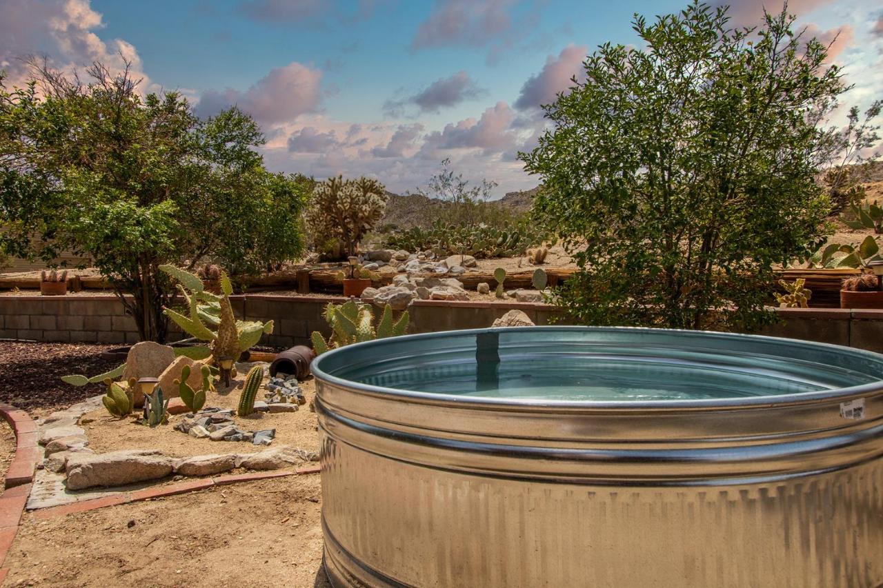 @ Marbella Lane - The Wine Mine Desert Escape Joshua Tree Buitenkant foto