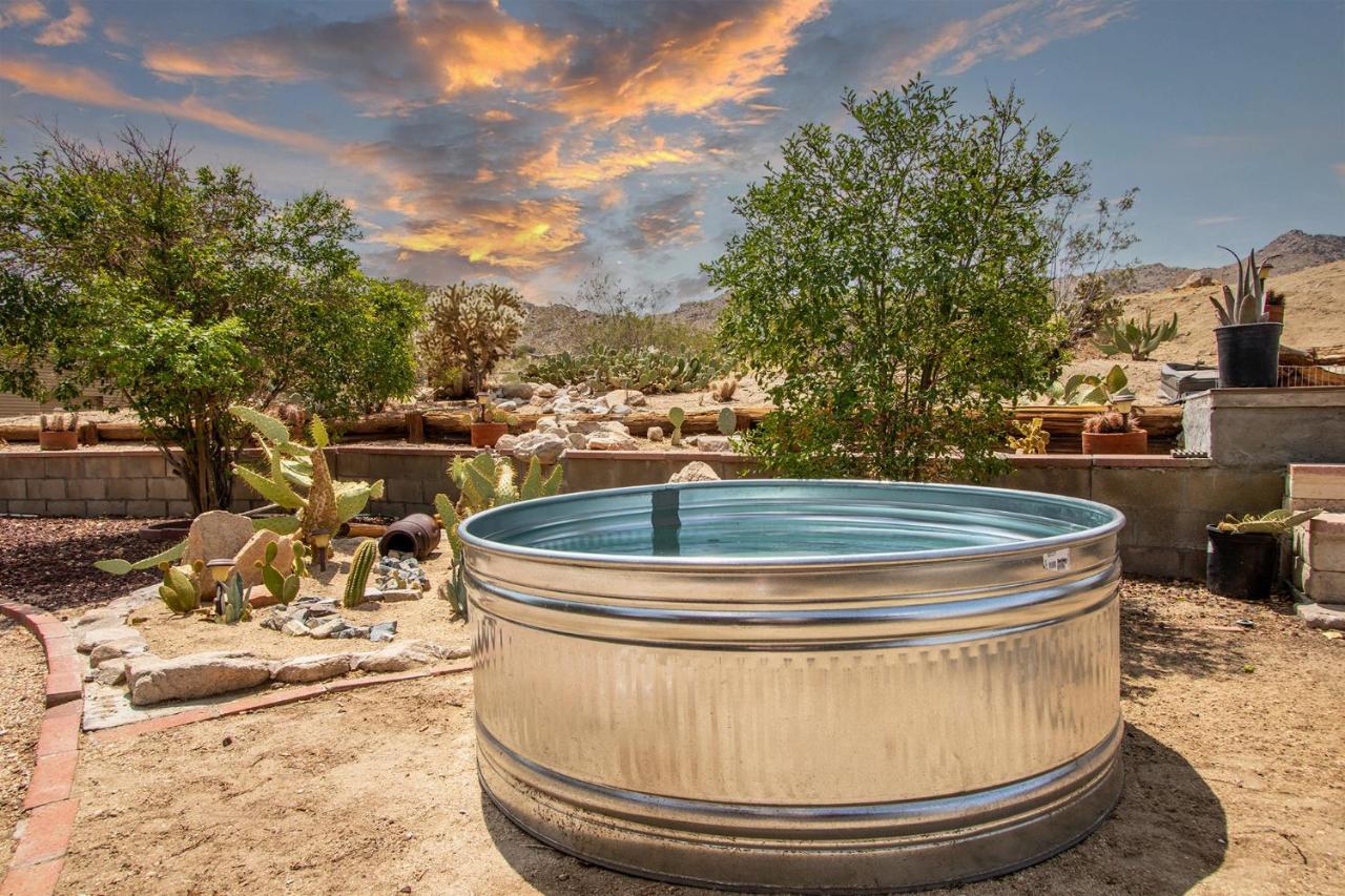 @ Marbella Lane - The Wine Mine Desert Escape Joshua Tree Buitenkant foto
